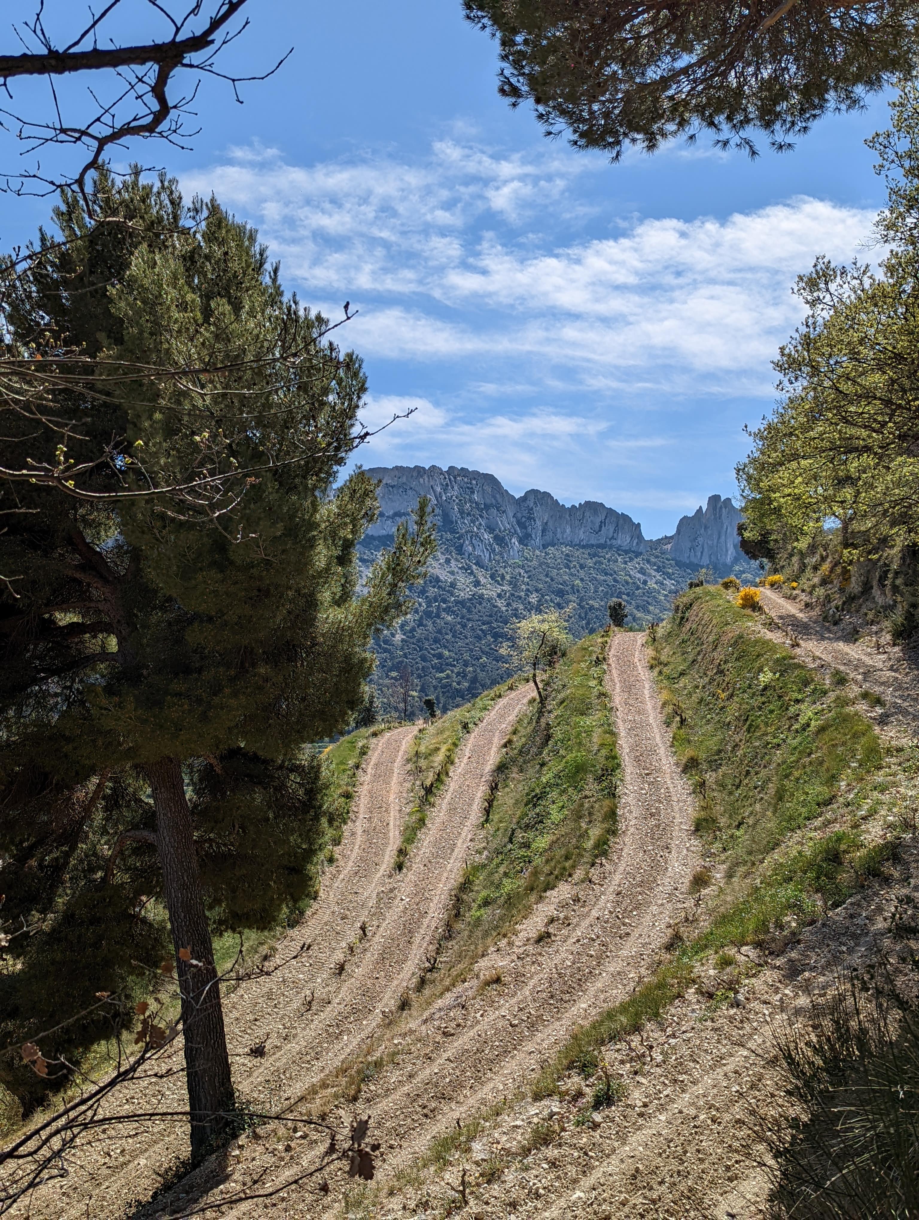 les dentelles de montmiraille